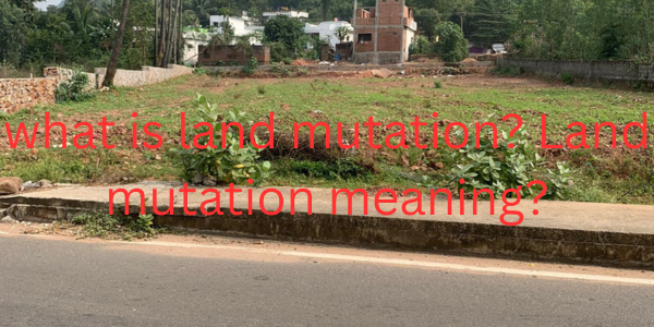 what is land mutation? Land mutation meaning?