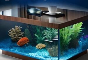 Aquarium shop near me! మంచి అక్వేరియం షాప్ ఎలా గుర్తించాలి?