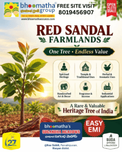 Premium plots for sale Near visakhapatnam