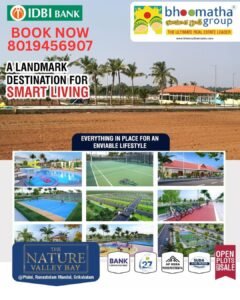 plots for sale near bhogapuram airport