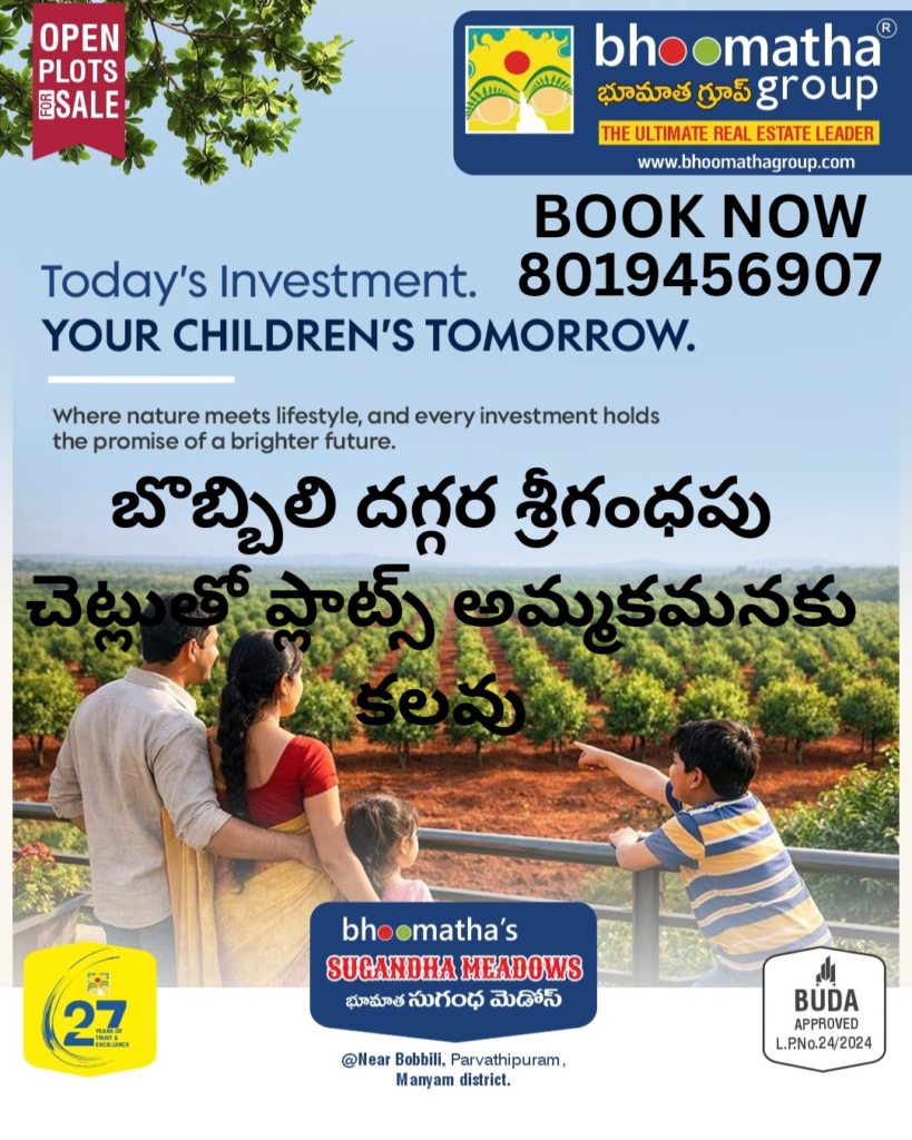 Premium open plots Near Bobbili